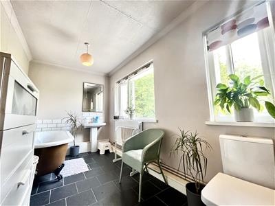 Picture 23